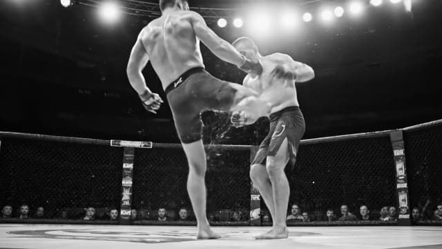 Night of Triumph: Victory Fighting League